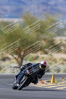 media/Apr-14-2024-SoCal Trackdays (Sun) [[70f97d3d4f]]/1-Turn 5 Tree of Life (920am)/